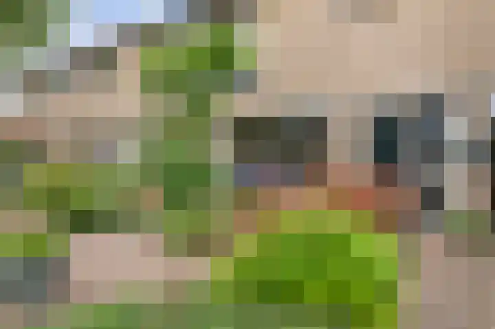 Burcht 27 Almelo thumbnail 4