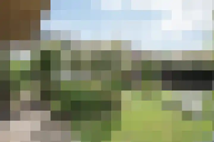 Burchtstraat 10 Herpen thumbnail 11