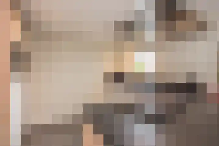 Burchtstraat 10 Herpen thumbnail 35