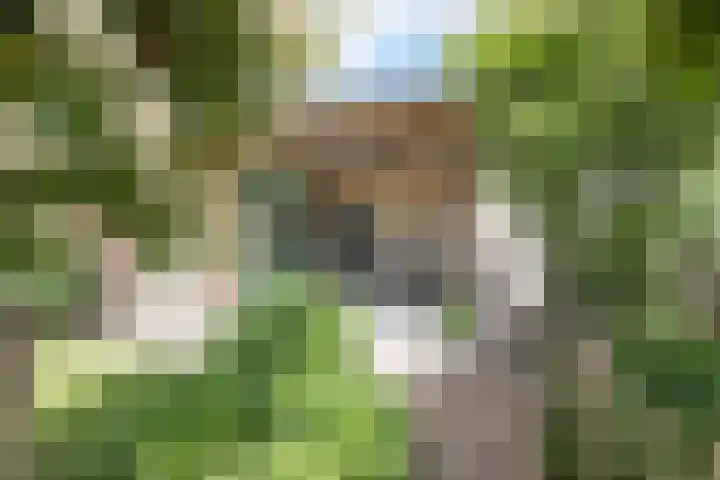 Burchtstraat 10 Herpen thumbnail 8
