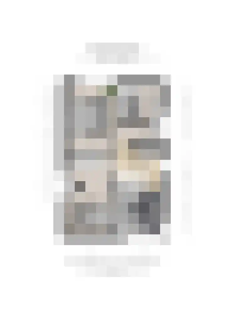 Burchtstraat 48 Middelaar thumbnail 61
