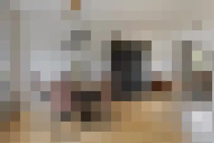 Burchtstraat 8 Zuilichem thumbnail 12