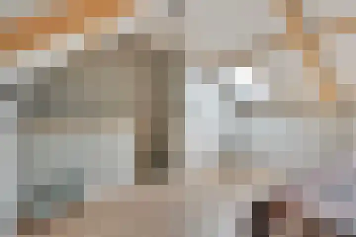 Burchtstraat 8 Zuilichem thumbnail 31
