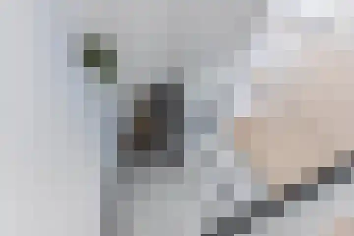 Burefen 214 Drachten thumbnail 29