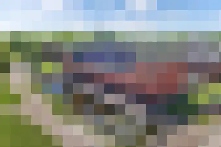 Burefen 214 Drachten thumbnail 42