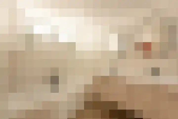 Buren 19 Ferwoude thumbnail 11