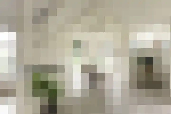 Buren 19 Ferwoude thumbnail 12