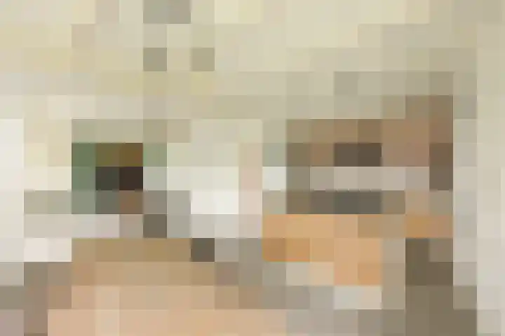 Buren 19 Ferwoude thumbnail 13