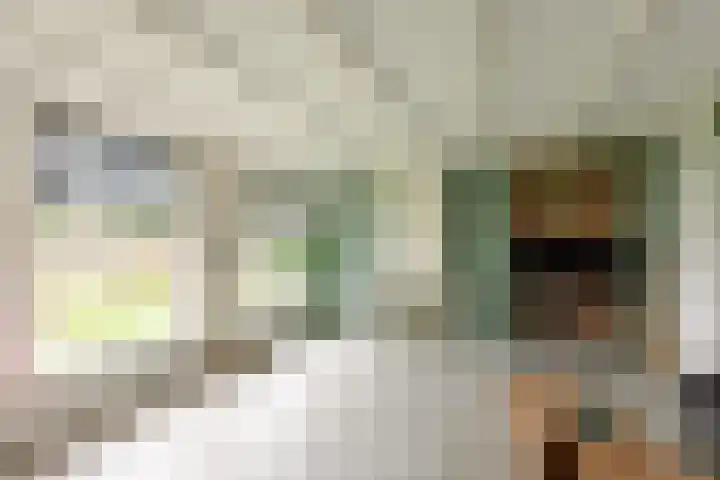 Buren 19 Ferwoude thumbnail 17
