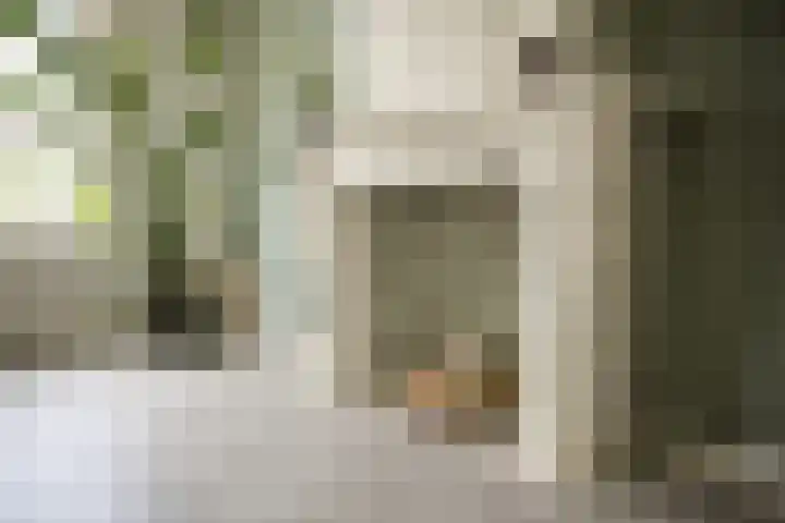 Buren 19 Ferwoude thumbnail 18