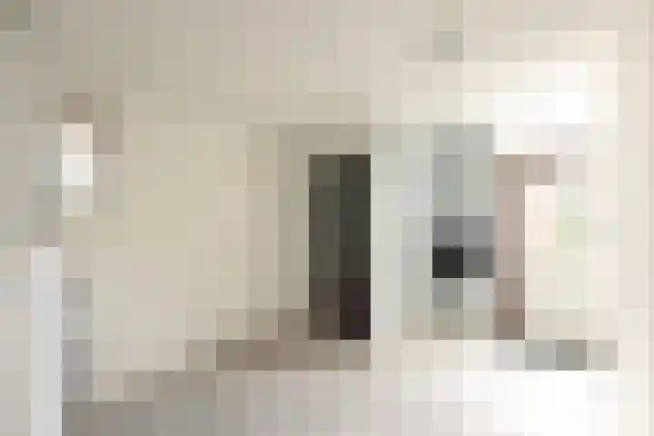 Buren 19 Ferwoude thumbnail 20