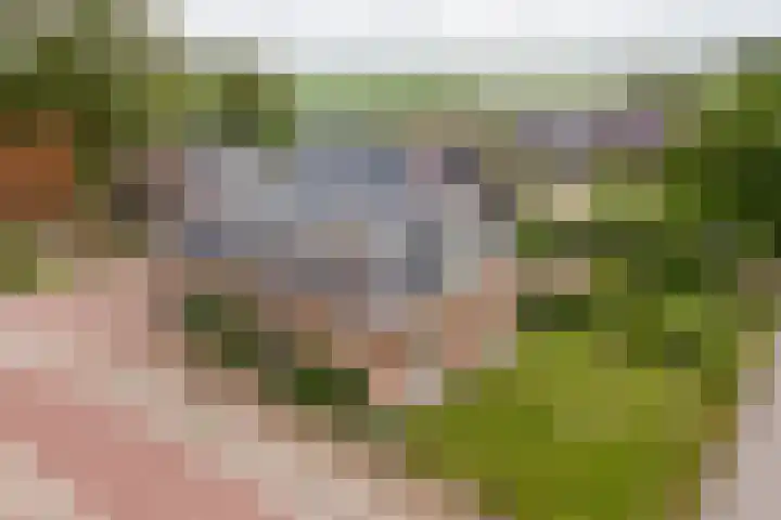 Buren 19 Ferwoude thumbnail 23