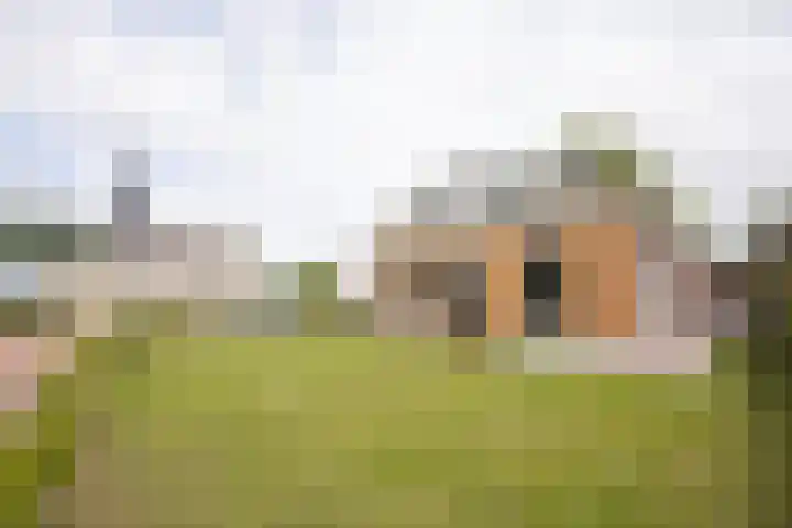 Buren 19 Ferwoude thumbnail 24