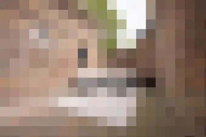 Buren 19 Ferwoude thumbnail 25