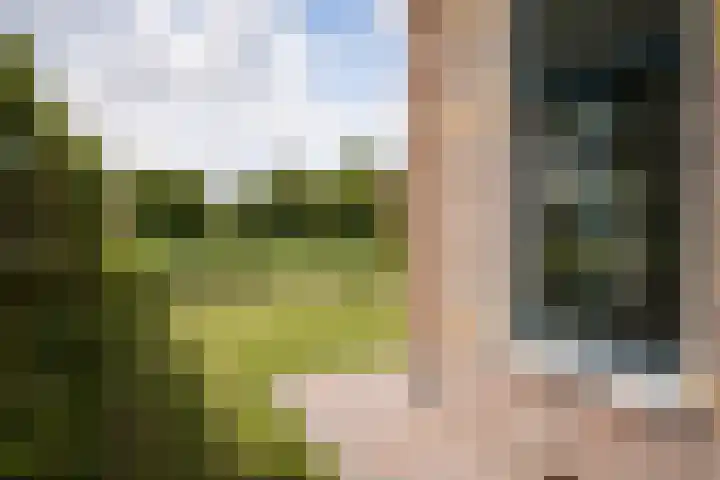 Buren 19 Ferwoude thumbnail 27