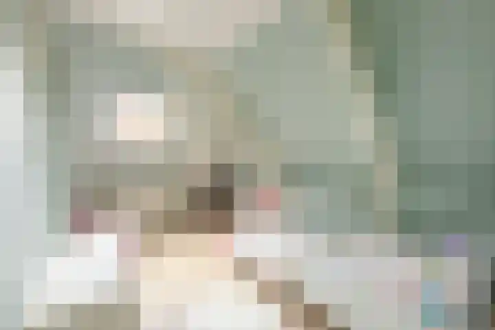 Buren 19 Ferwoude thumbnail 32