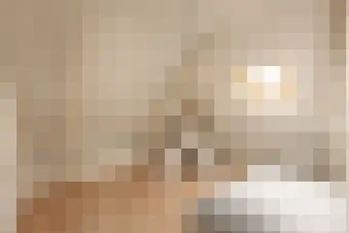 Buren 19 Ferwoude thumbnail 34