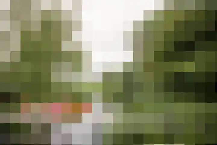 Buren 19 Ferwoude thumbnail 38
