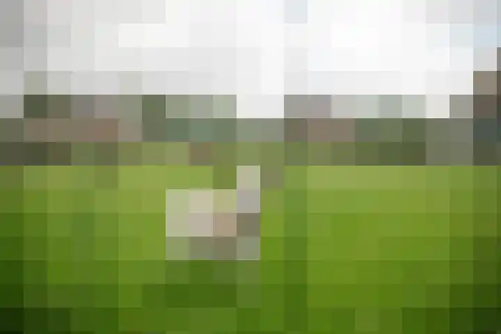 Buren 19 Ferwoude thumbnail 39