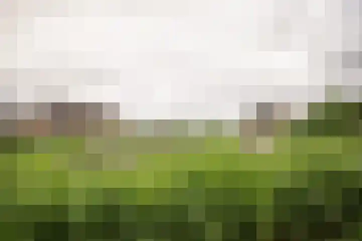 Buren 19 Ferwoude thumbnail 40