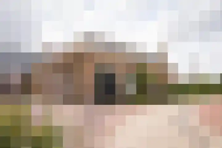 Buren 19 Ferwoude thumbnail 6