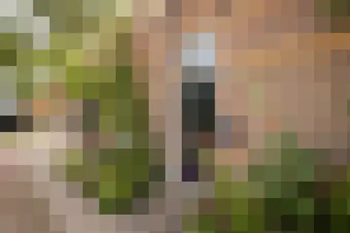 Buren 19 Ferwoude thumbnail 8