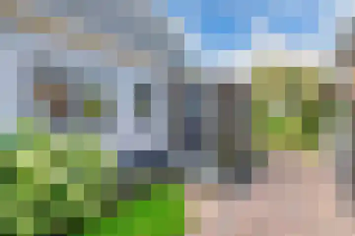 Buren 23 Longerhouw thumbnail 10