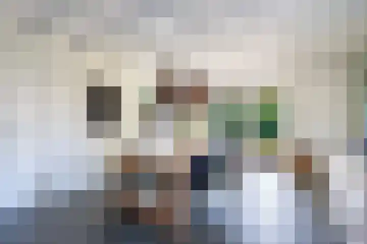 Buren 23 Longerhouw thumbnail 14