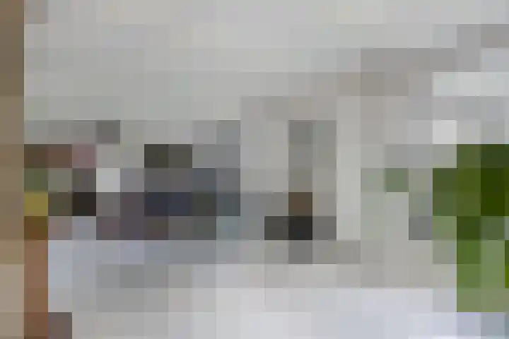 Buren 23 Longerhouw thumbnail 21