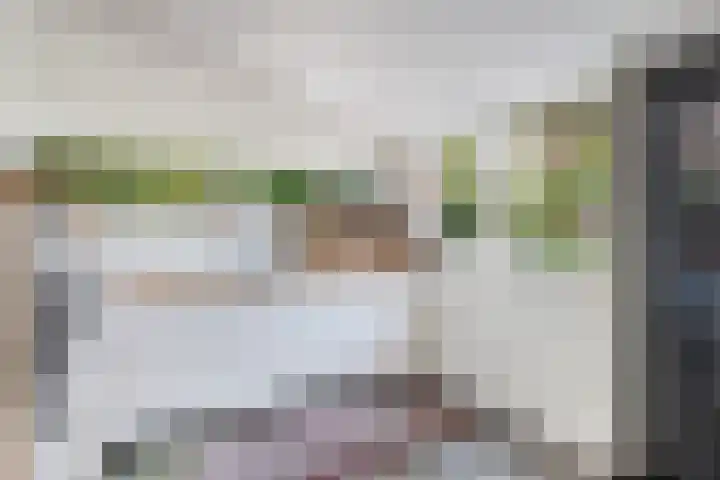 Buren 23 Longerhouw thumbnail 29
