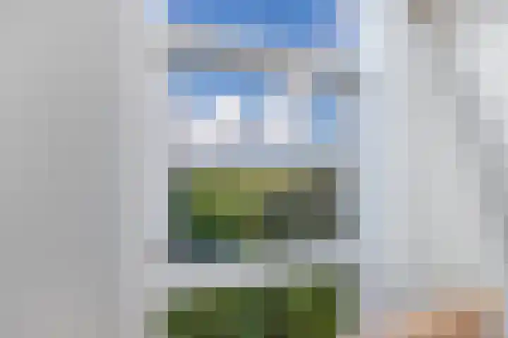Buren 23 Longerhouw thumbnail 35