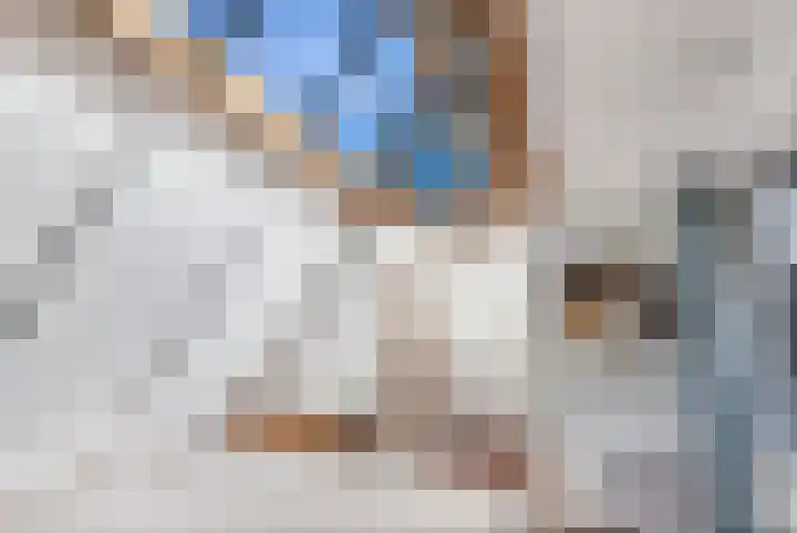 Buren 23 Longerhouw thumbnail 37