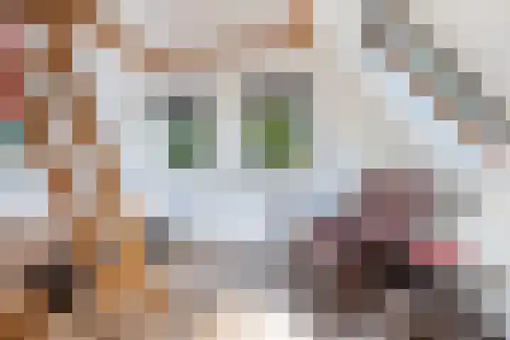 Buren 23 Longerhouw thumbnail 41