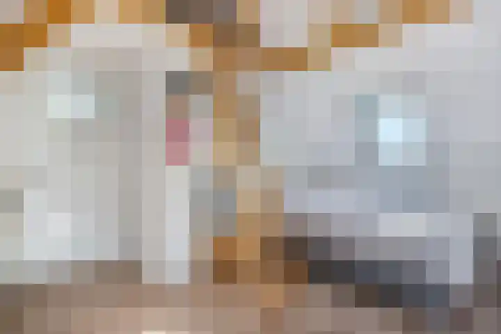 Buren 23 Longerhouw thumbnail 42