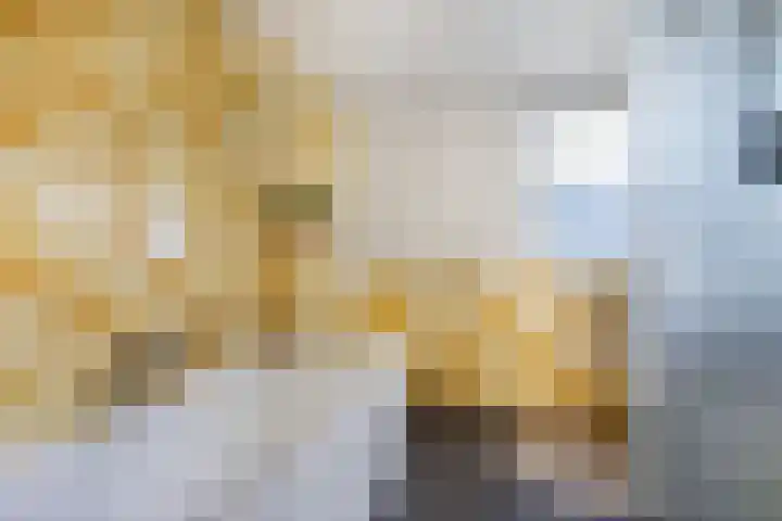 Buren 23 Longerhouw thumbnail 43