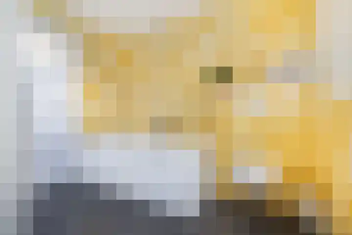 Buren 23 Longerhouw thumbnail 44