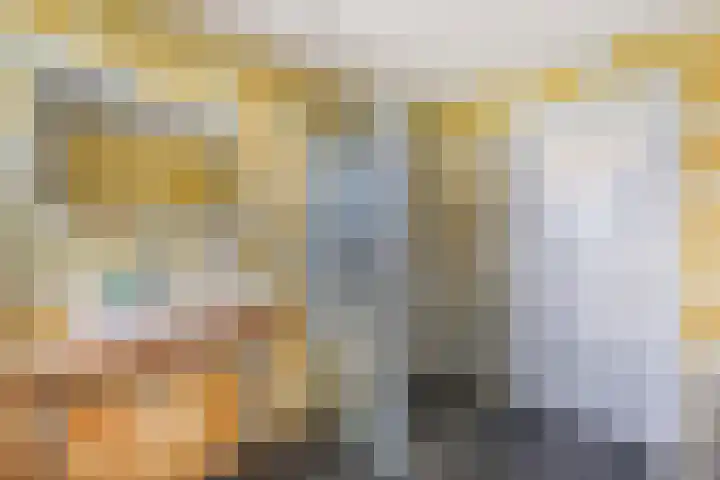 Buren 23 Longerhouw thumbnail 46