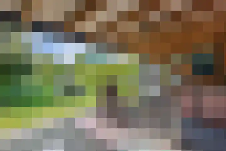 Buren 23 Longerhouw thumbnail 51