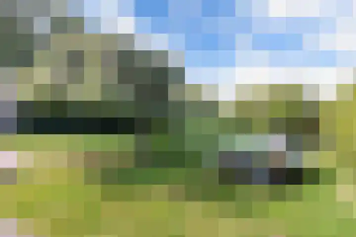 Buren 23 Longerhouw thumbnail 53