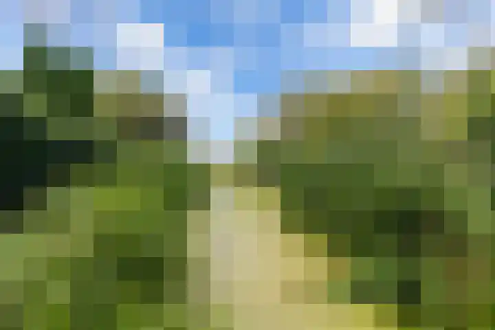 Buren 23 Longerhouw thumbnail 54