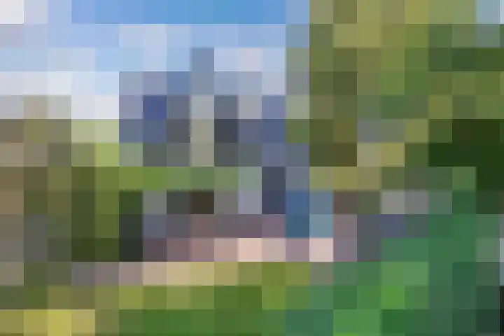 Buren 23 Longerhouw thumbnail 56
