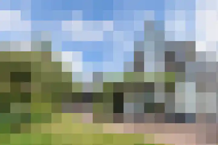 Buren 23 Longerhouw thumbnail 57