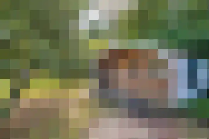 Buren 23 Longerhouw thumbnail 60