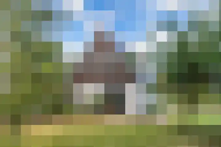 Buren 23 Longerhouw thumbnail 61
