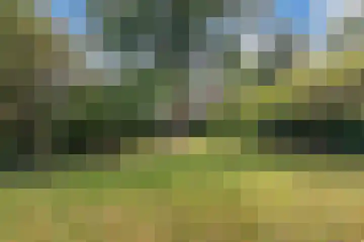 Buren 23 Longerhouw thumbnail 62