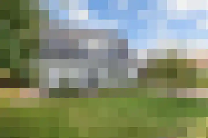 Buren 23 Longerhouw thumbnail 63
