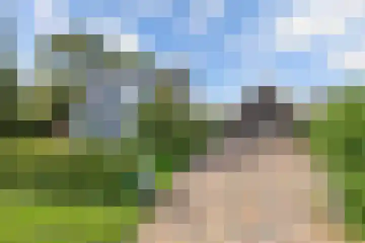 Buren 23 Longerhouw thumbnail 65