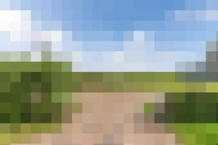 Buren 23 Longerhouw thumbnail 68