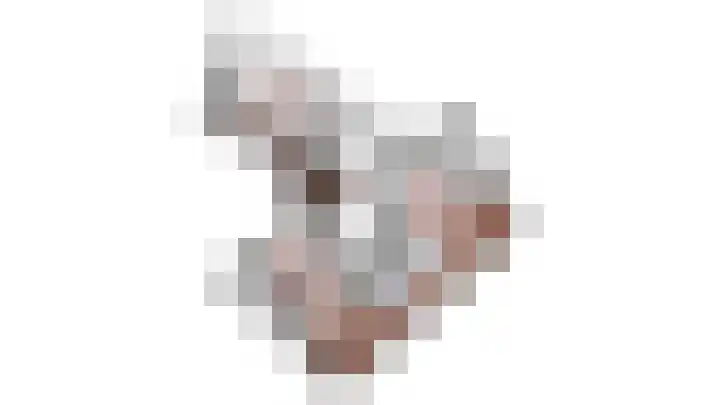 Buren 23 Longerhouw thumbnail 73