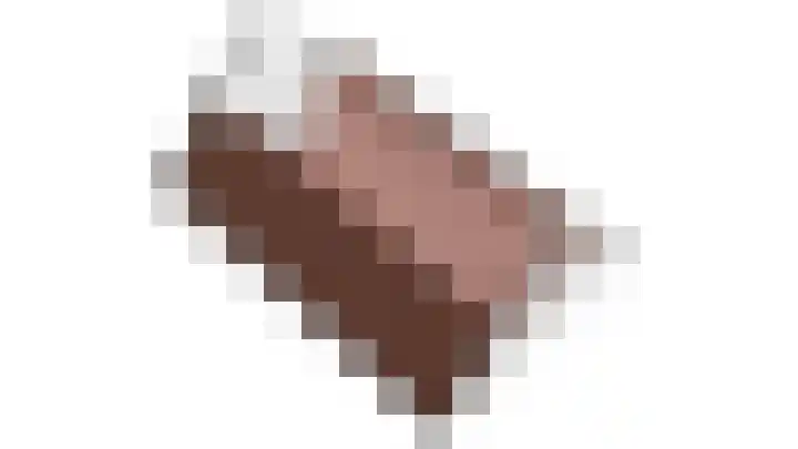 Buren 23 Longerhouw thumbnail 75